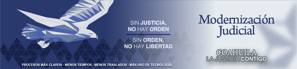 Justicia Profesional